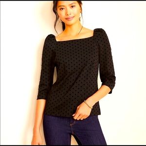 Ann Taylor black dot square neck top